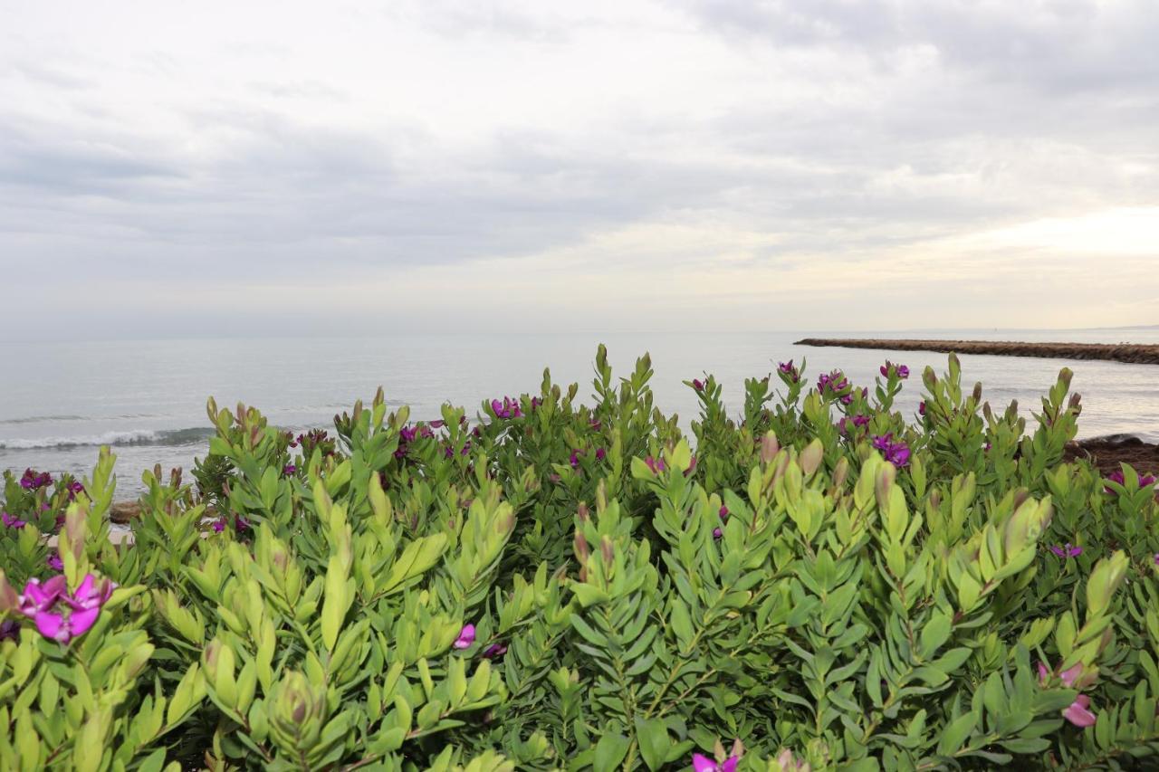 Carmen Apartments With Sea View Near Alicante Santa Pola Εξωτερικό φωτογραφία
